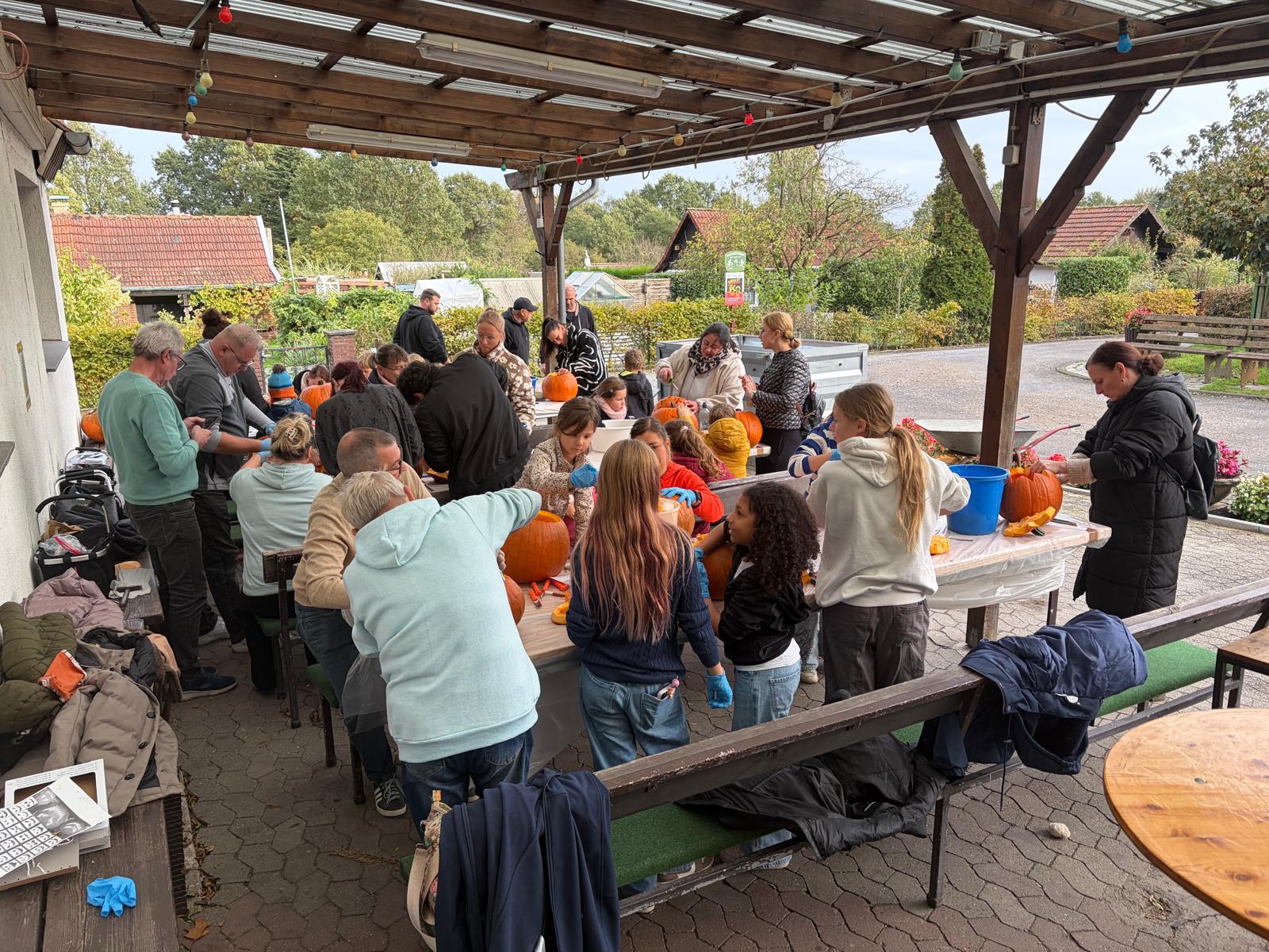 Kürbisschnitzen im KGV Arbeit und Freude e.V. stimmt auf die Halloweenparty ein.